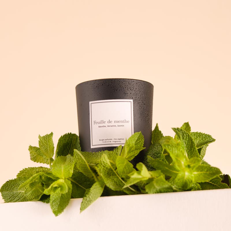 Bougie Parfumée Feuille de Menthe 180g
