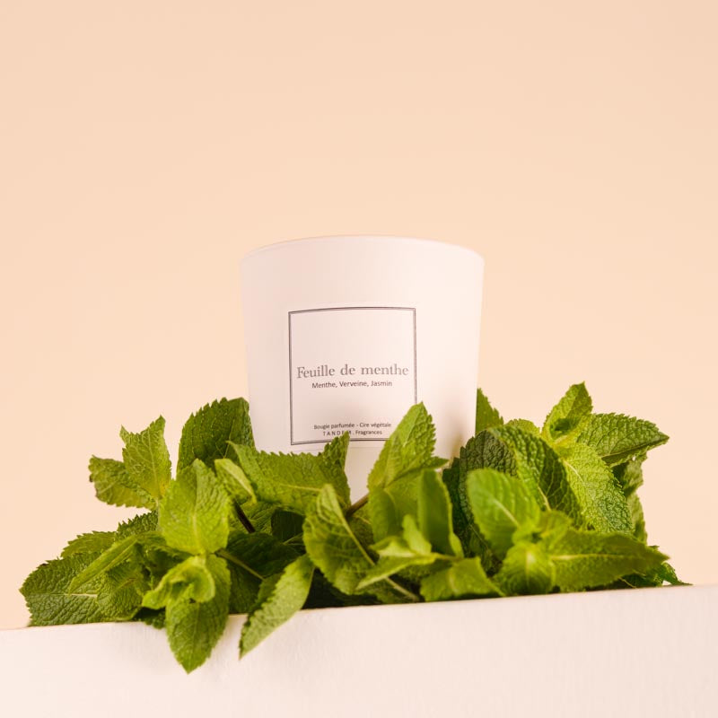 Bougie Parfumée Feuille de Menthe 180g