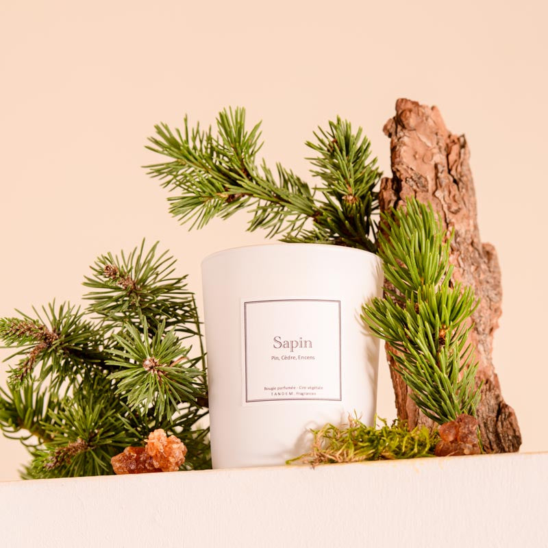 Bougie Parfumée Sapin 180g