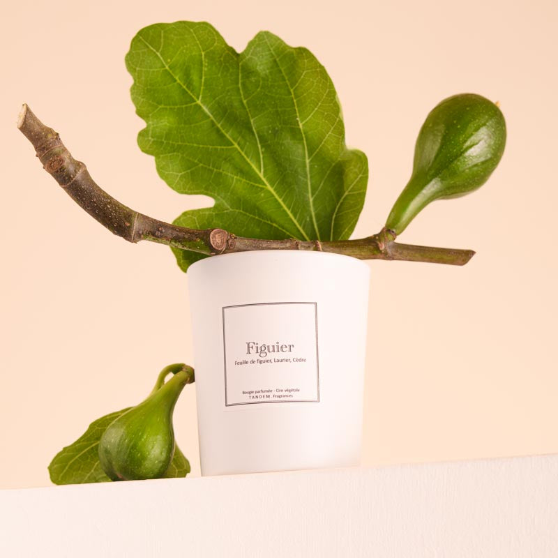 Bougie Parfumée Figuier 180g