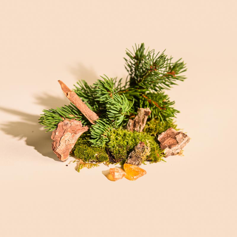 Diffuseur à bâtonnets Sapin 100ml